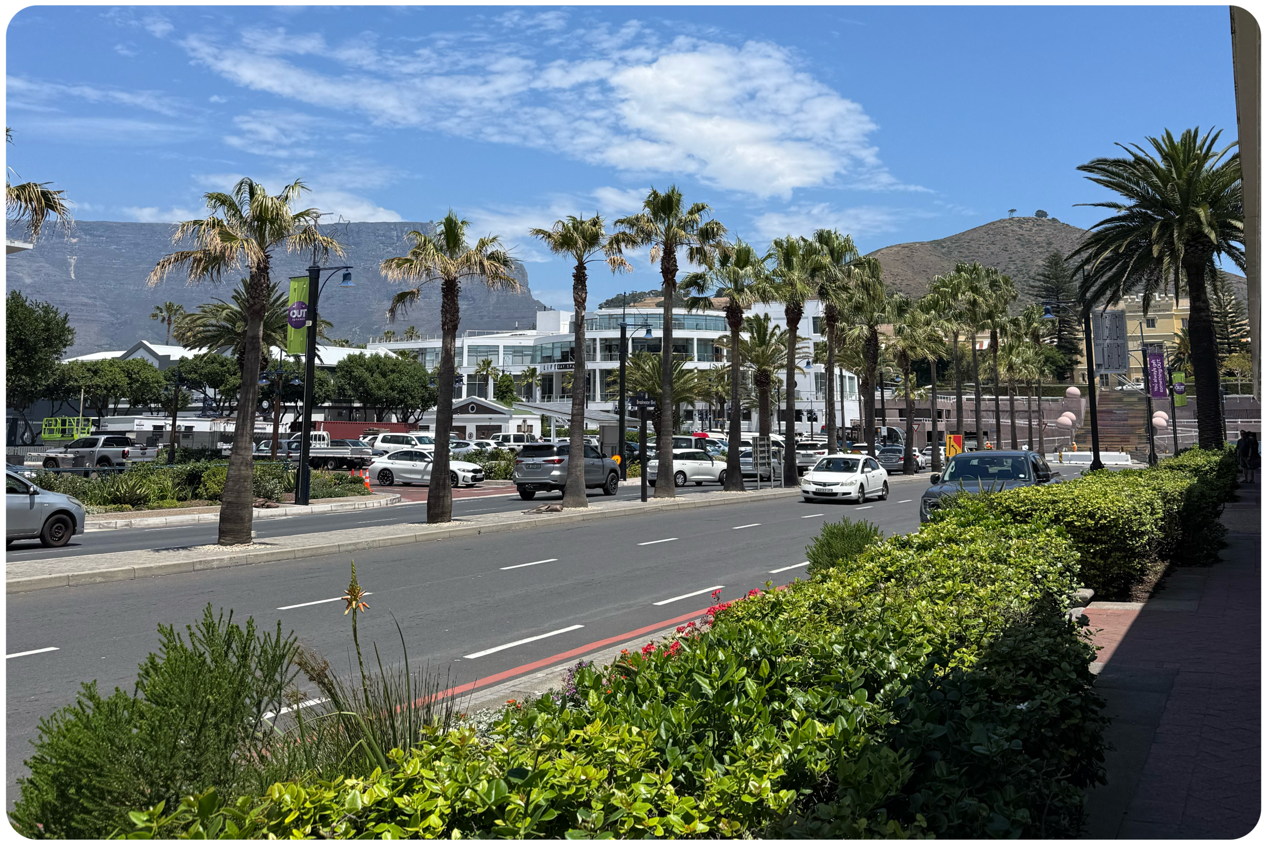 Weg met palmbomen bij het Waterfront in Kaapstad