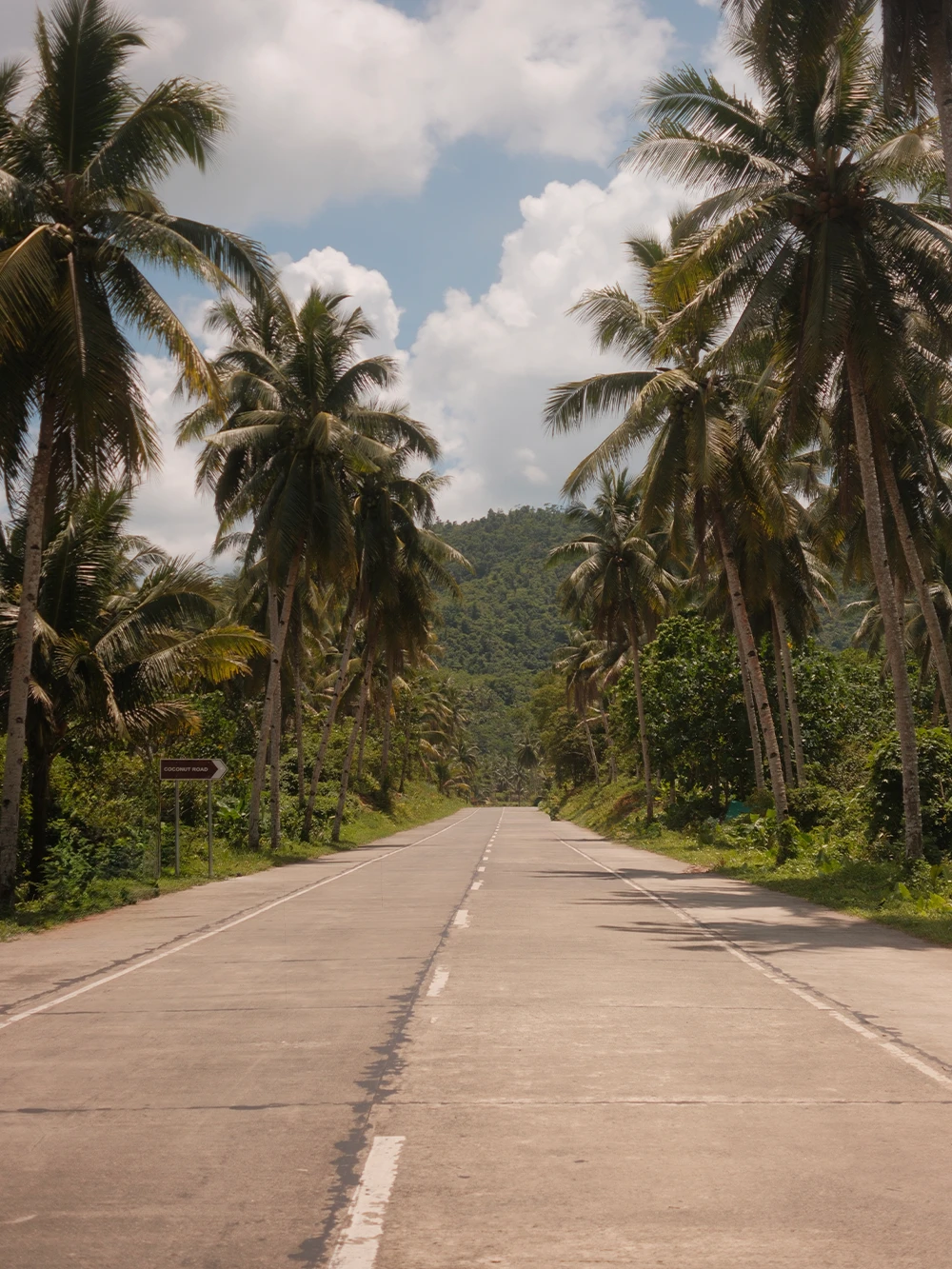 Tropische weg tussen palmbomen op Siargao, Filipijnen, onderweg naar de Coconut Road viewpoint