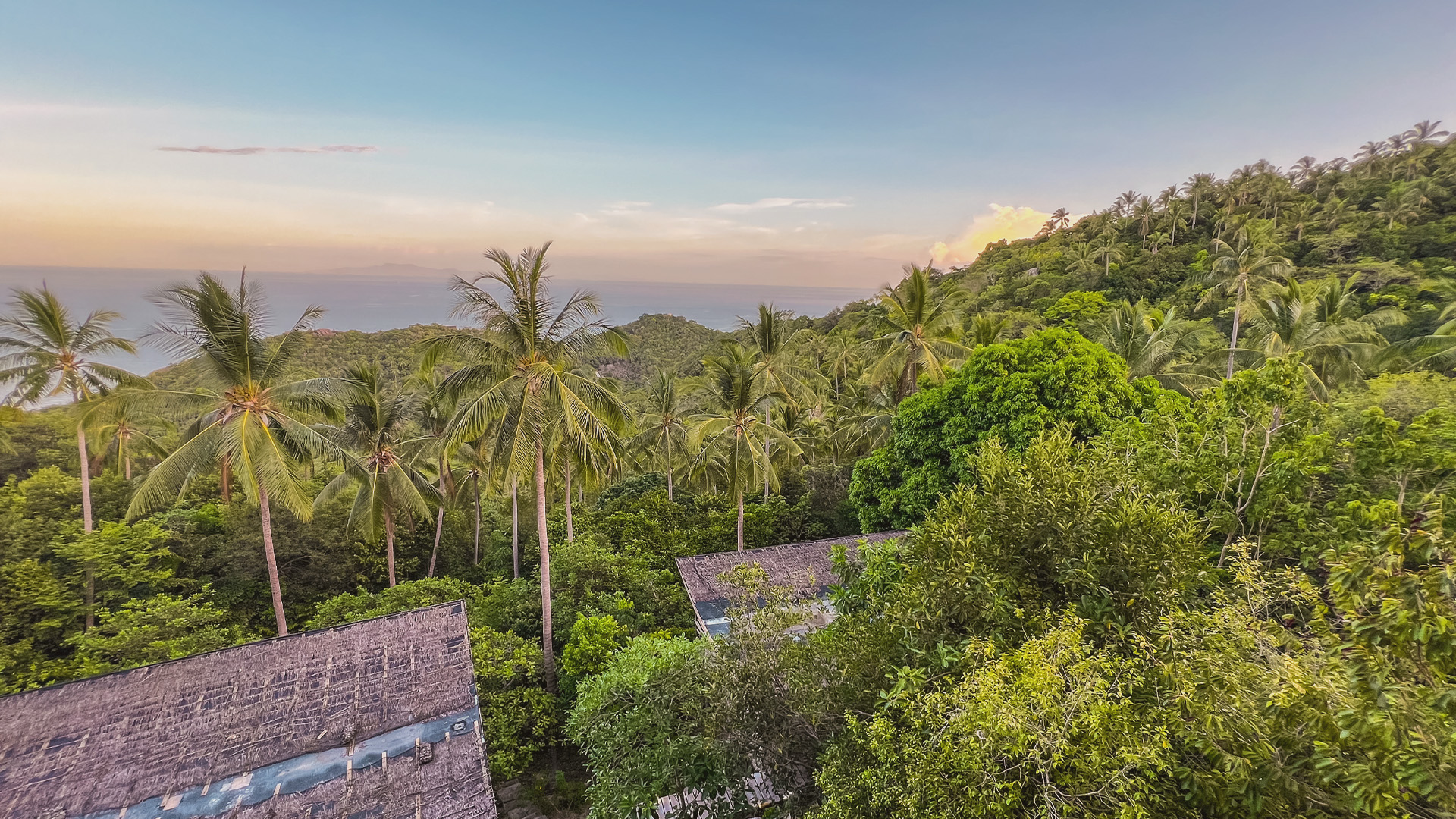 Balkonfoto van weelderig groen landschap met palmbomen en bungalowdaken bij zonsondergang op Koh Tao, Thailand