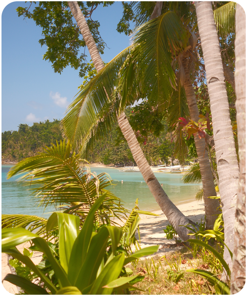 Tropisch strand in El Nido met palmbomen, turquoise water en witte zandstranden op Palawan, Filipijnen
