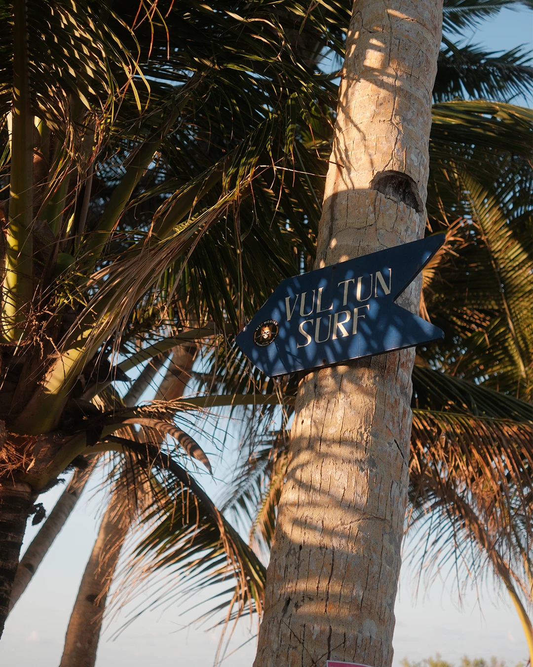Hangmat tussen palmbomen bij Cloud 9 op Siargao