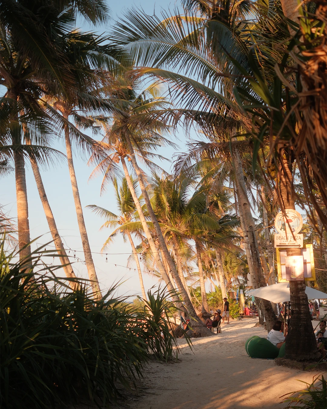 Palmbomen met uitzicht op zee bij Cloud 9 op Siargao