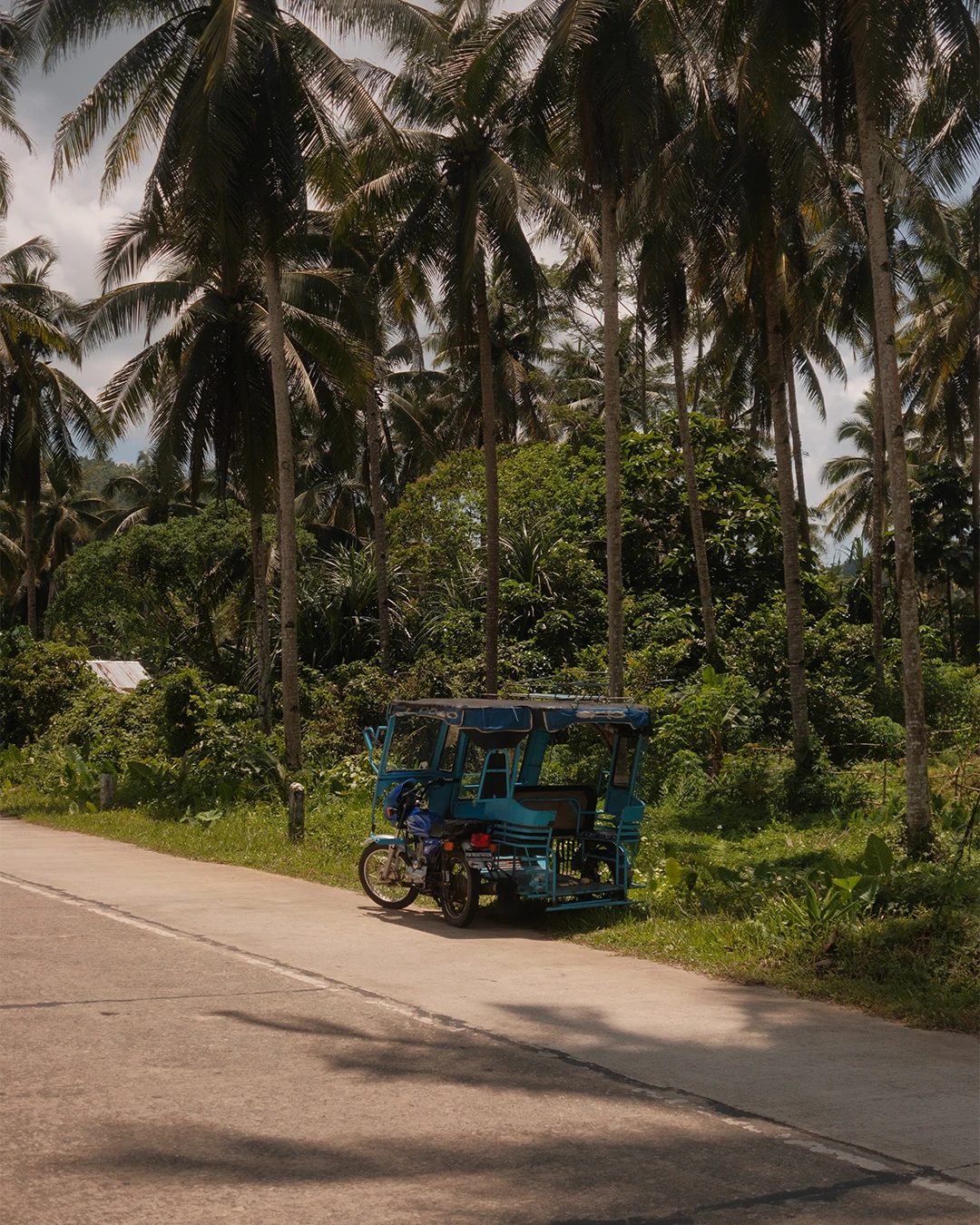 Weg tussen dichtbegroeide palmbomen op Siargao