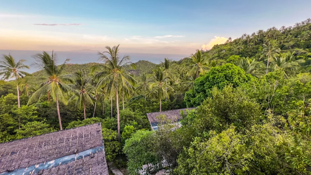 Palmbomen en heuvels op Koh Tao bij zonsondergang