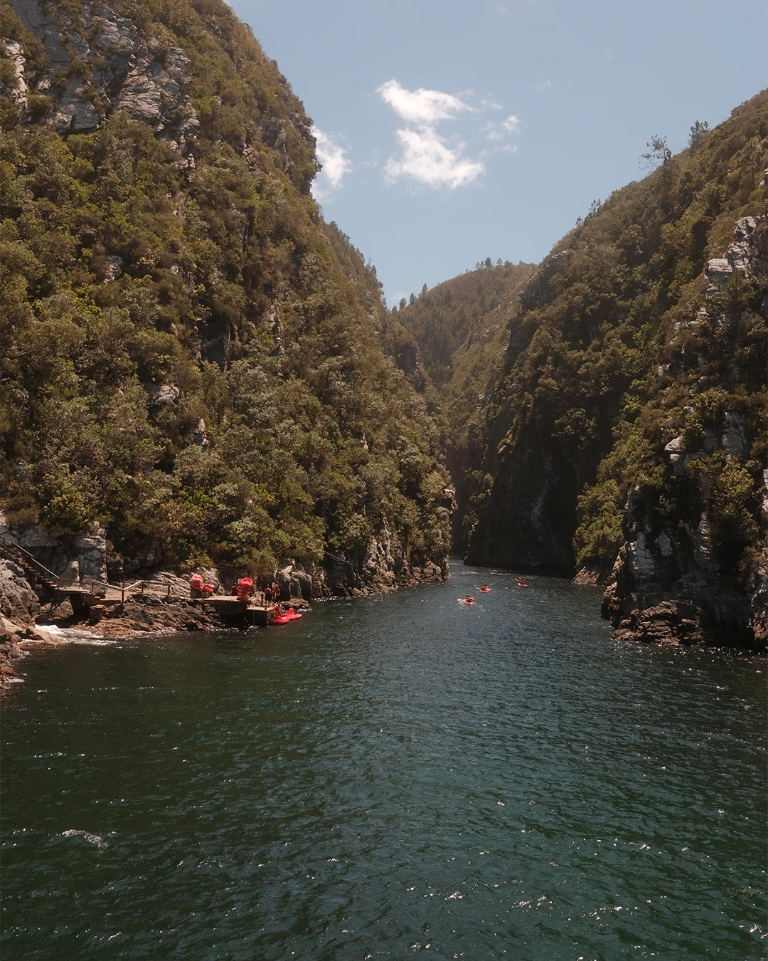 Rivier tussen steile groene hellingen in Tsitsikamma in Zuid-Afrika